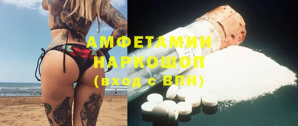 индика Протвино