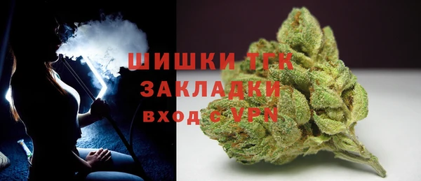 индика Протвино
