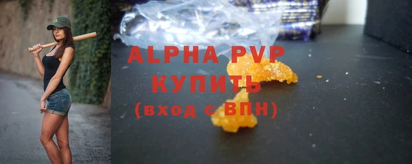 индика Протвино