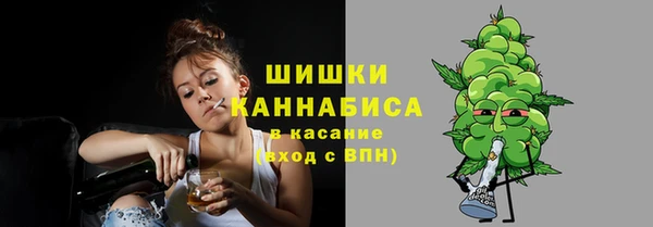 молекула духа Приозерск