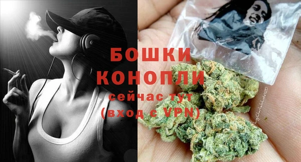 молекула духа Приозерск