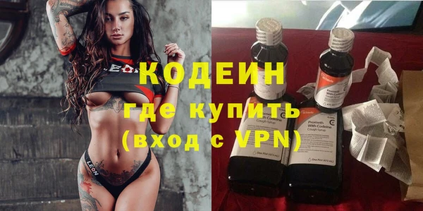 индика Протвино