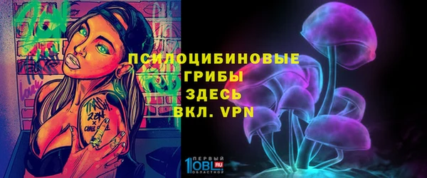 шишки Пролетарск
